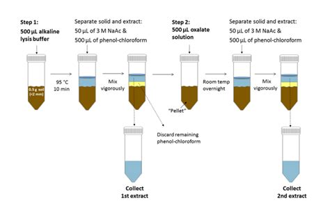 total nucleic acid isolation|Nucleic Acid Extraction from Human Biological Samples.